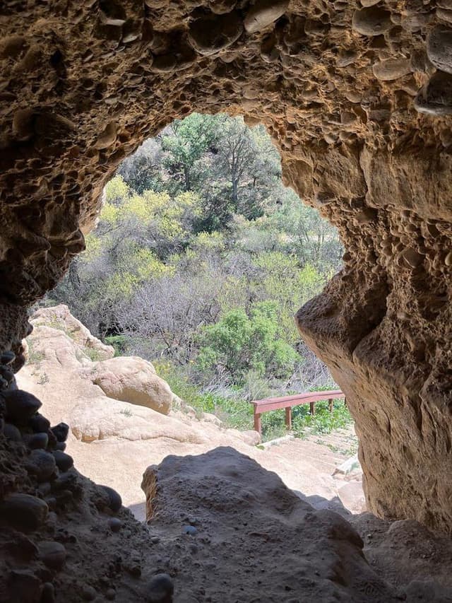Section Image