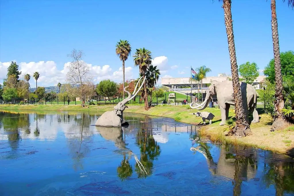 La Brea Tar Pits