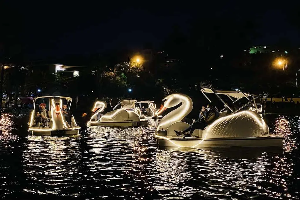 Swan Boat Rental in Echo Park Rental