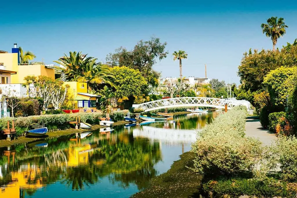 Venice Canals Los Angeles